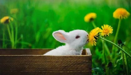 世界杯有戏!内马尔梅开二度,复出后3场已贡献2球1助